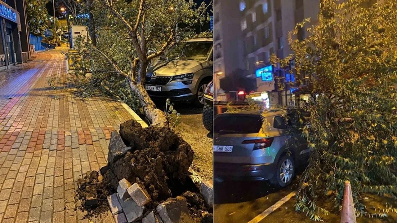 Bandırma’da fırtına: Ağaç aracın üzerine devrildi